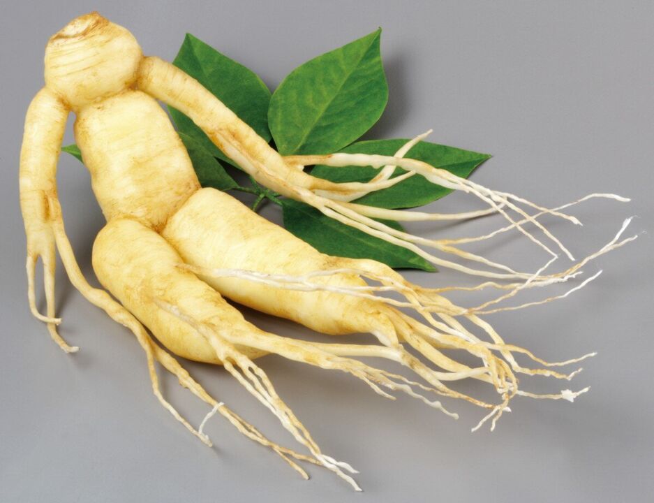 The potency of ginseng root