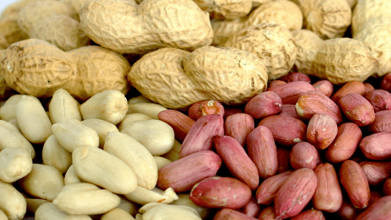 The potency of peanuts and almonds
