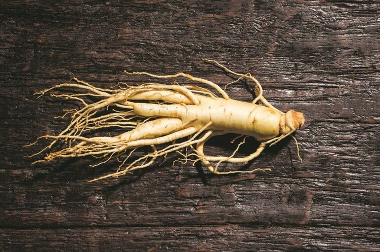 Ginseng root that stimulates blood flow to male genitals