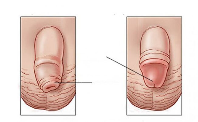 What tasks does lubricant perform