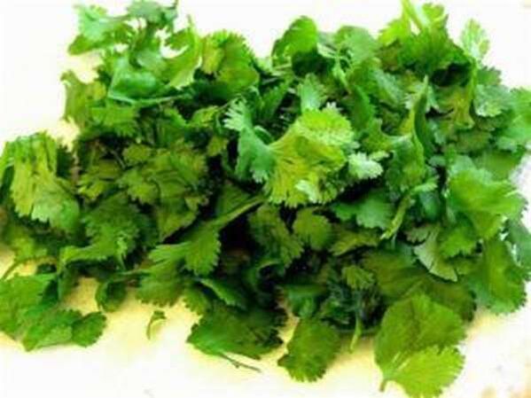 The benefits of parsley