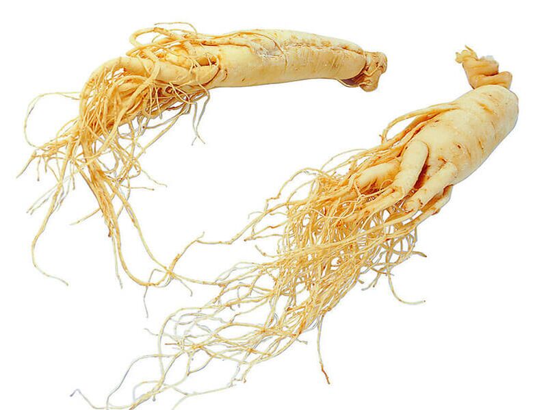 Ginseng Root Benefits